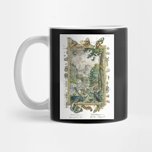 Work of the Fifth Day - Butterflies Insects - Physica Sacra Mug